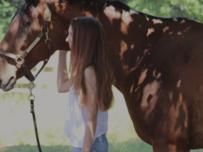 A HORSE HOTEL AT EQUINE BLVD